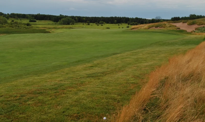 My lay up barely stayed out of the fescue, but I had a great angle to the flag.