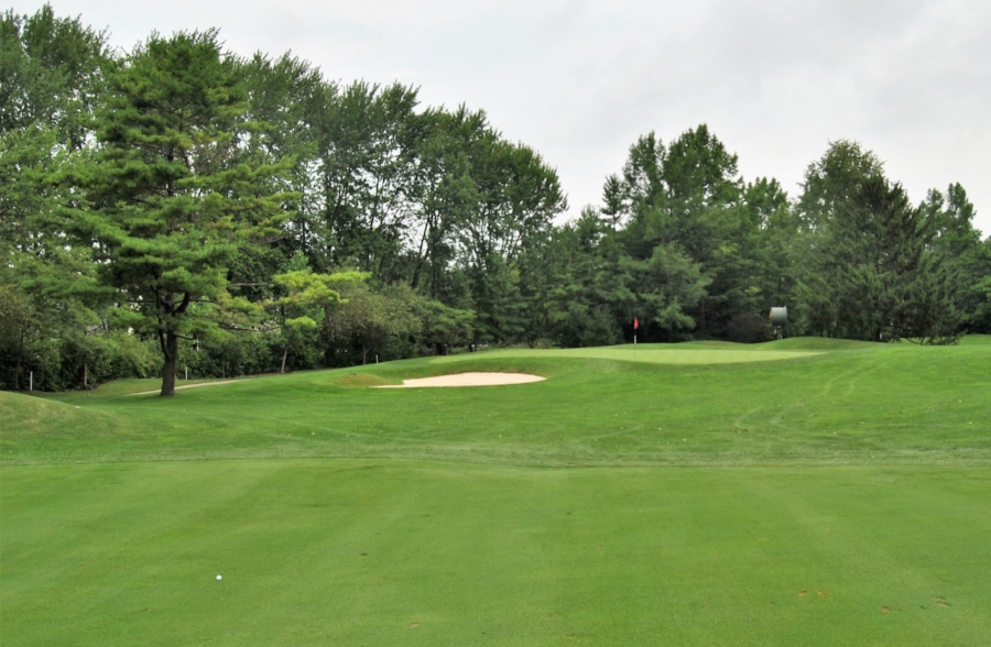 Where my ball ended up after my drive. Should have been an easy 60 yard shot to the pin.