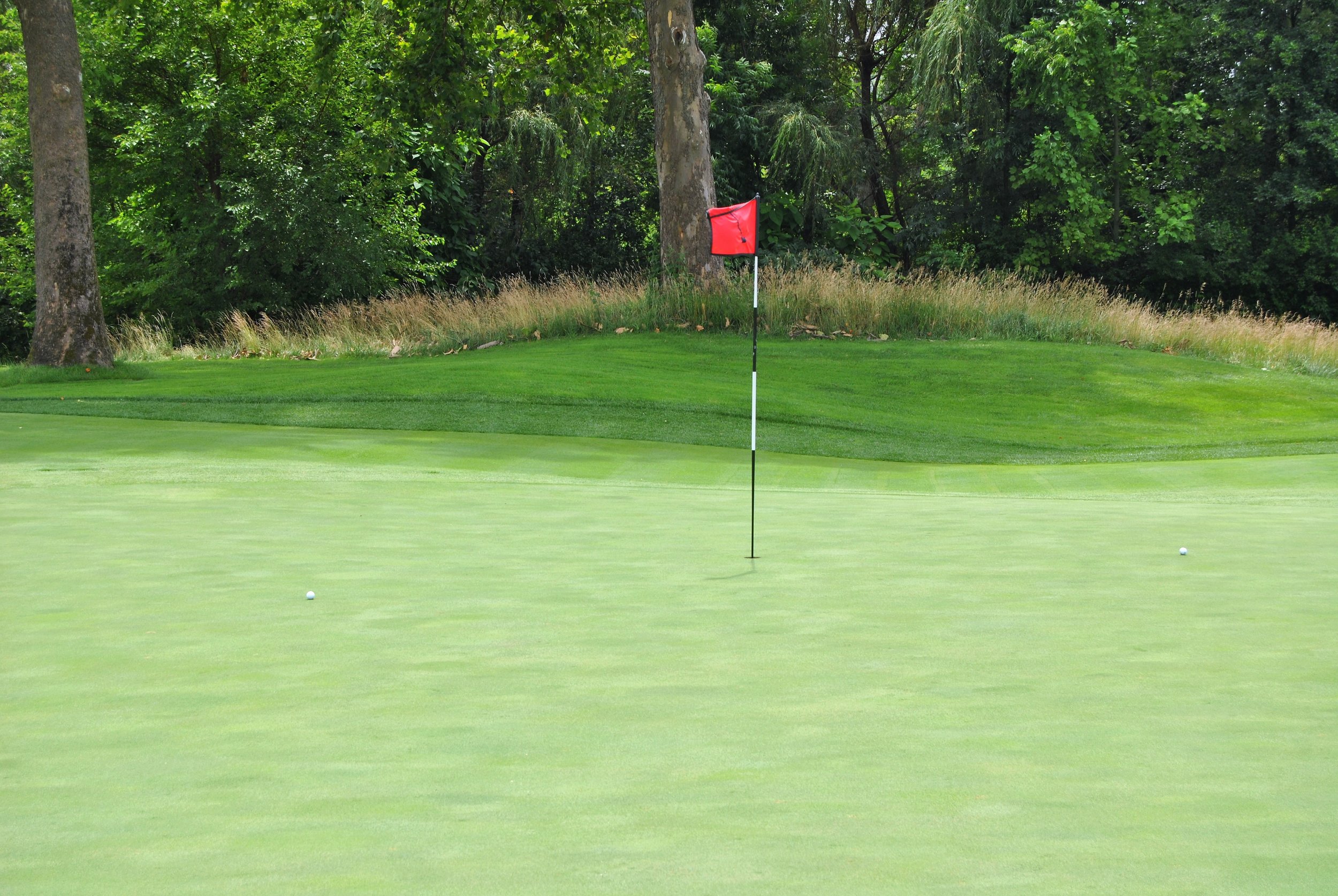 The green on the 15th hole. A couple of birdie putts await.