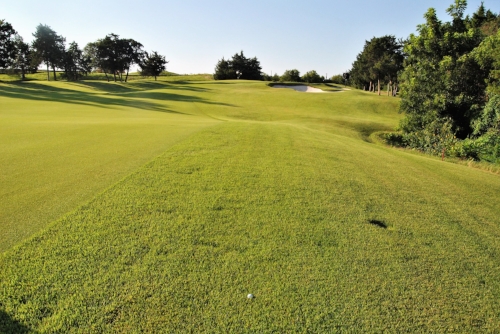 View of the remaining 81 yards to the first green.