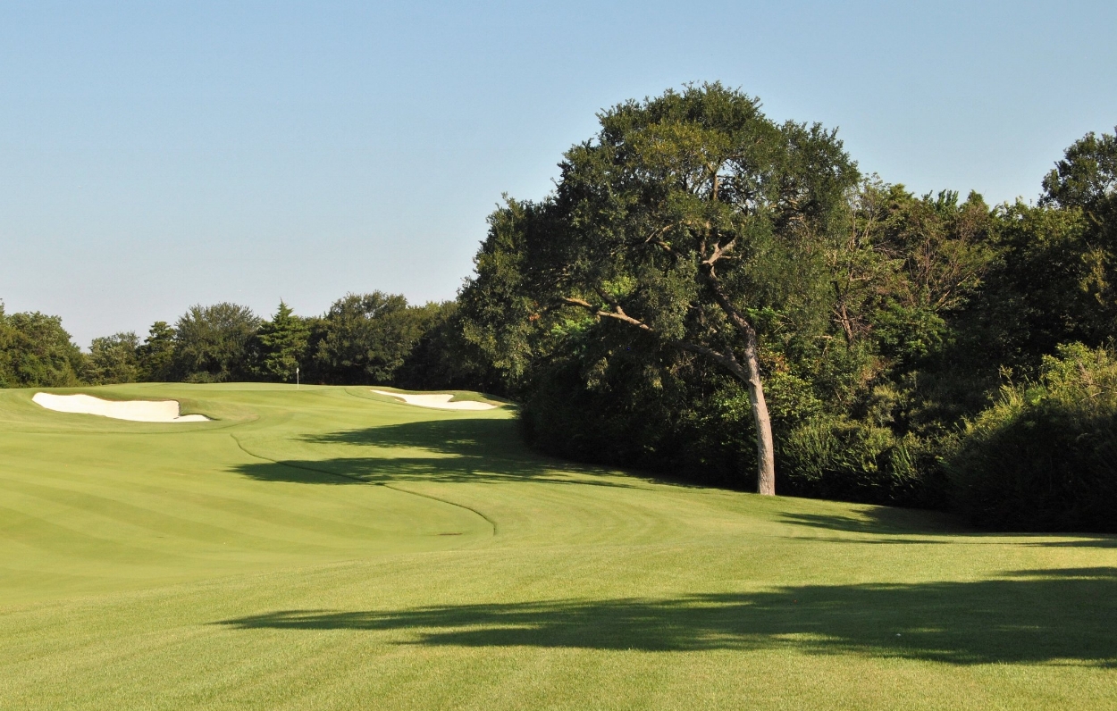 My ball is in the shadow of the tree. I did not get a member's bounce when I pushed it into the trees on the right.
