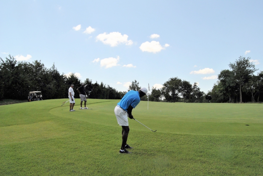 Chipping close on the 16th green.
