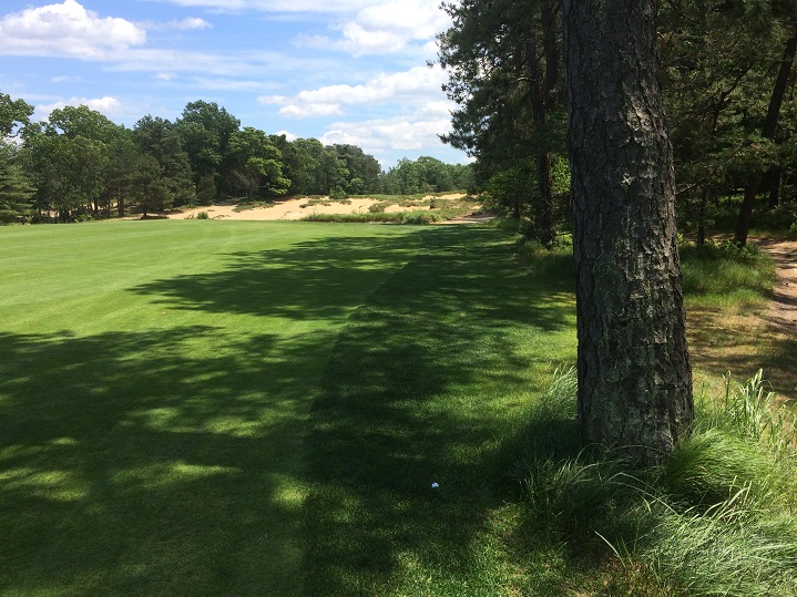 Pine Valley - More Fairway Than You Can See, Less Than You ...