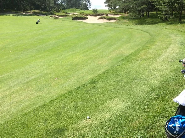 hole 17 drive.jpg