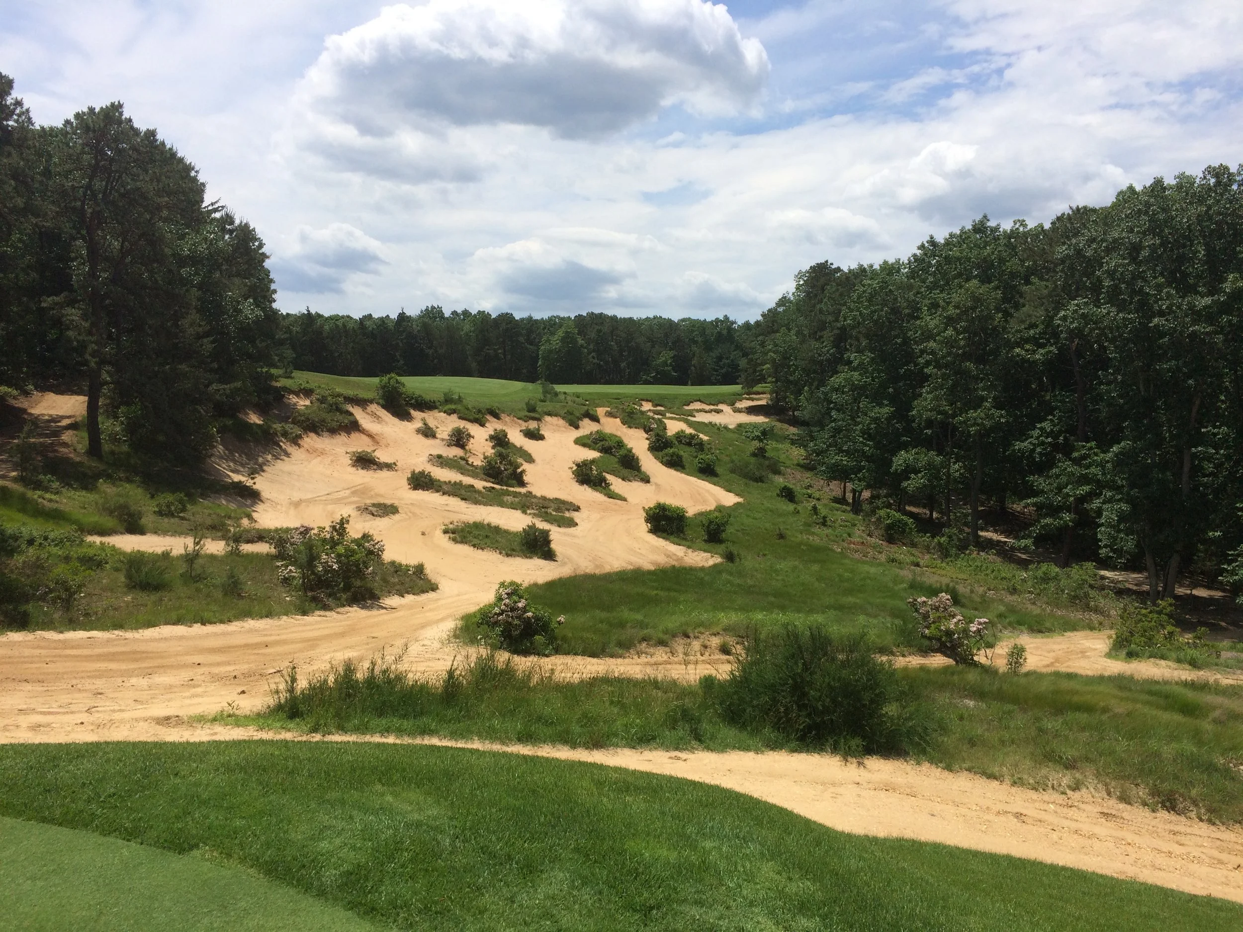 Pine Valley - More Fairway Than You Can See, Less Than You Can Use