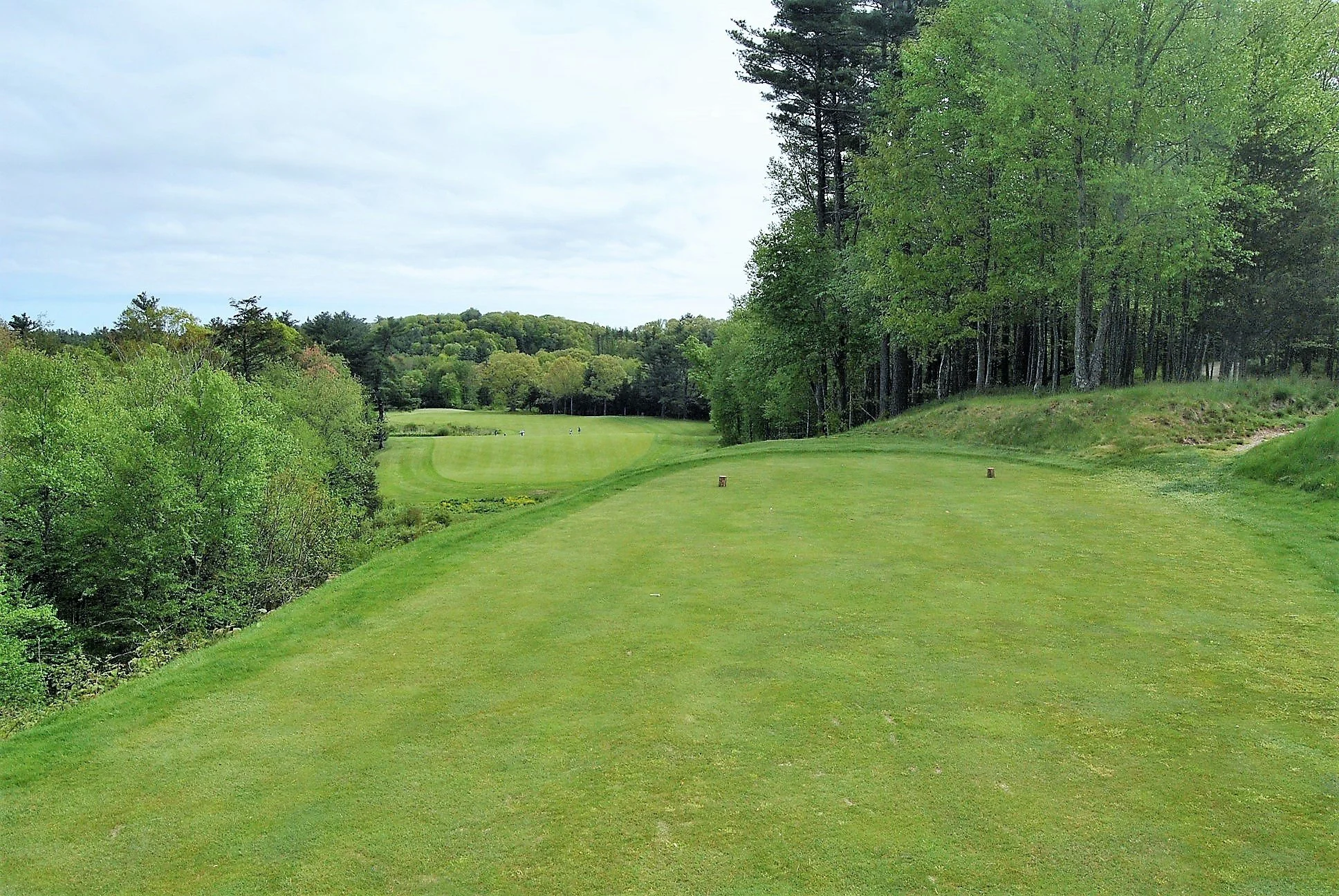 Boston Golf Club - A Beautiful Walk Through the Woods