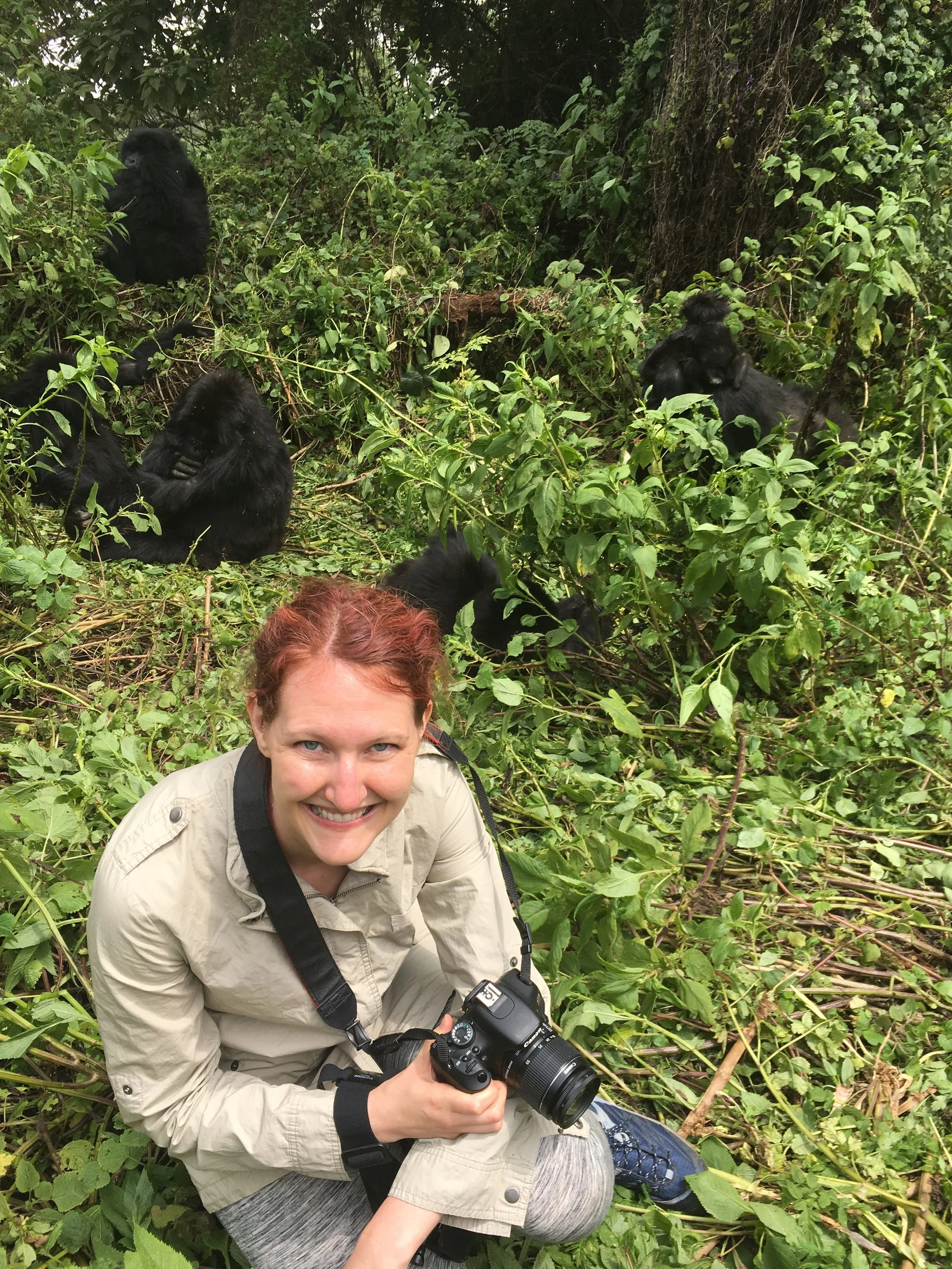 Trekking with Mountain Gorillas