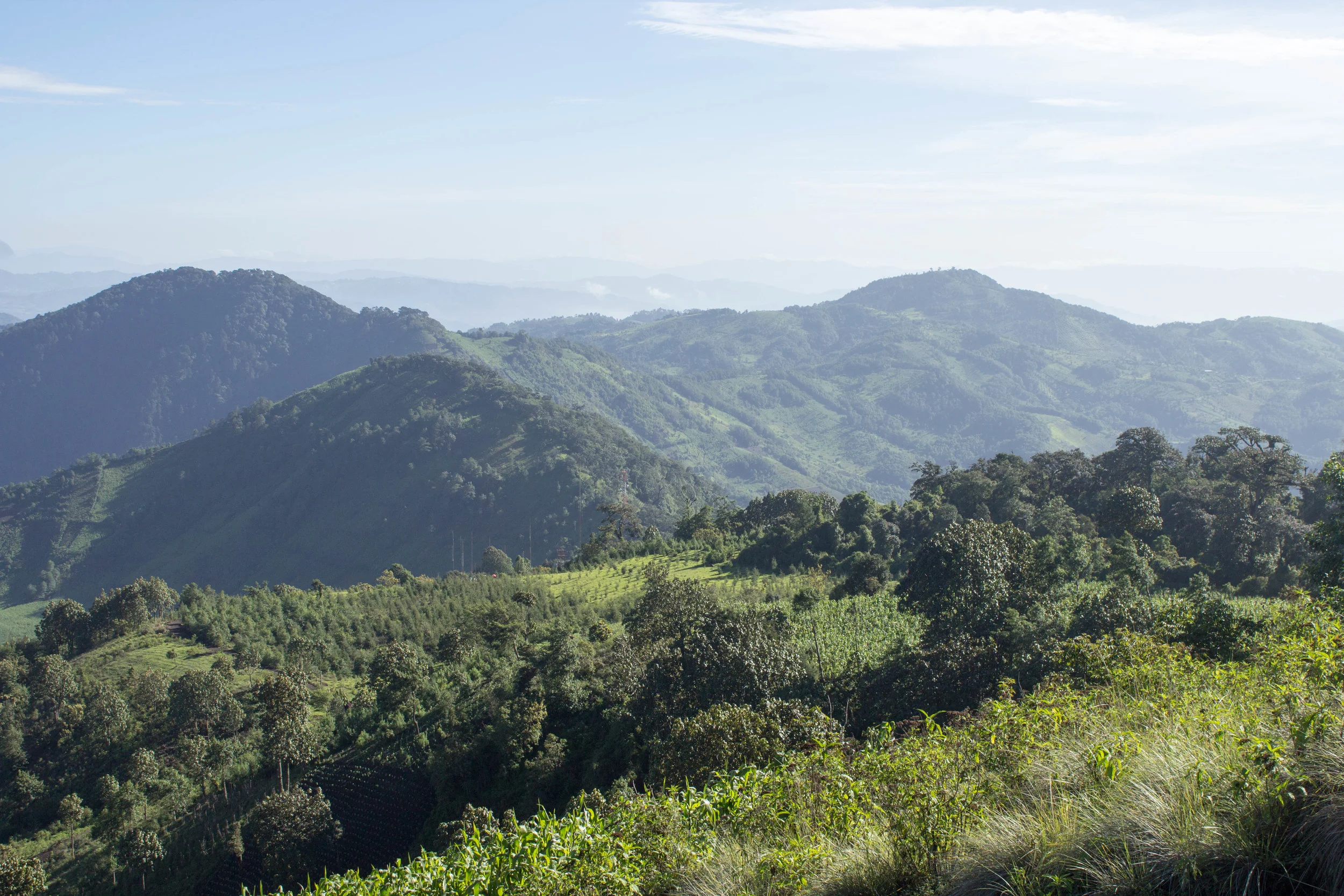 _MG_7432.jpg