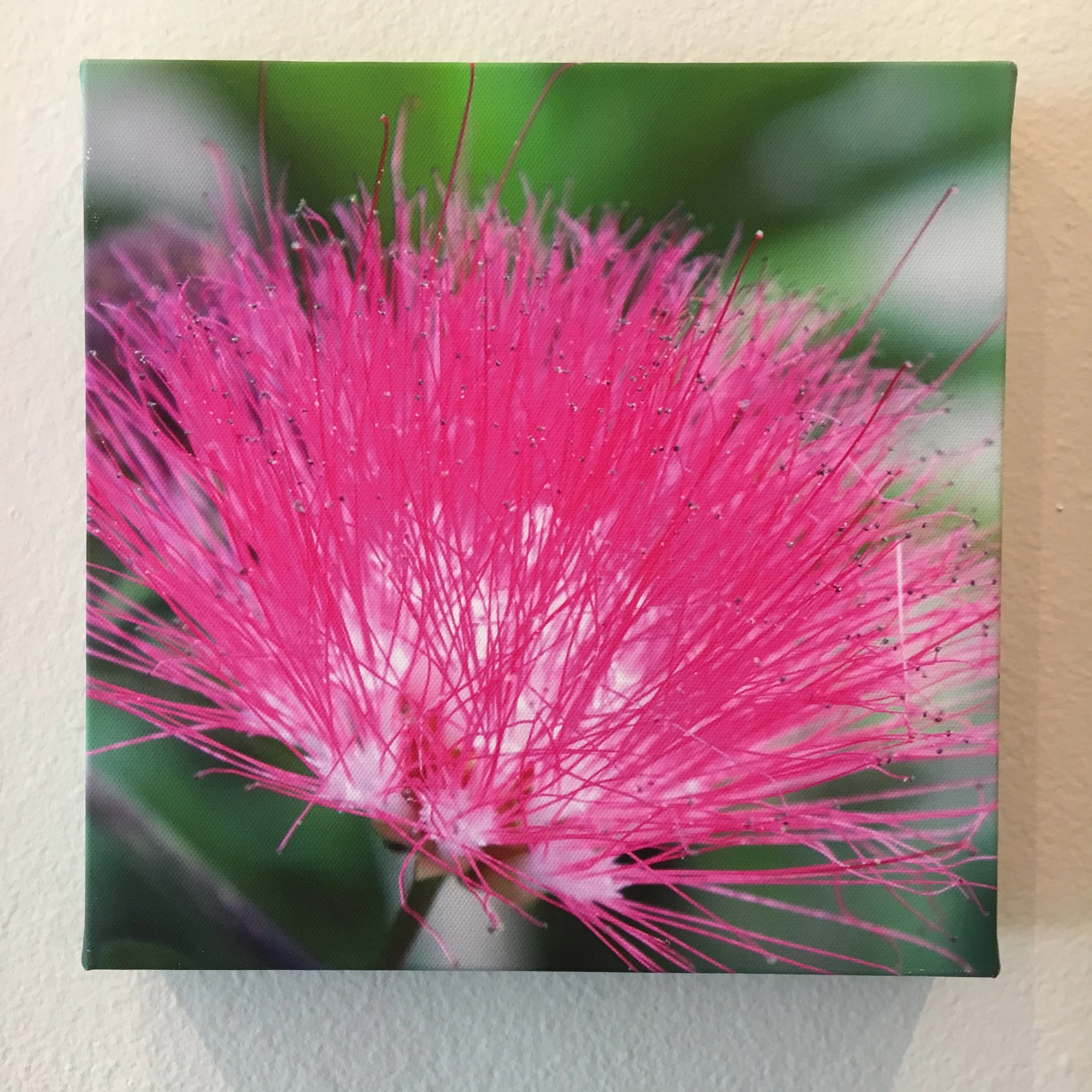 Photo Apr 11, 12 39 48 PM.jpg