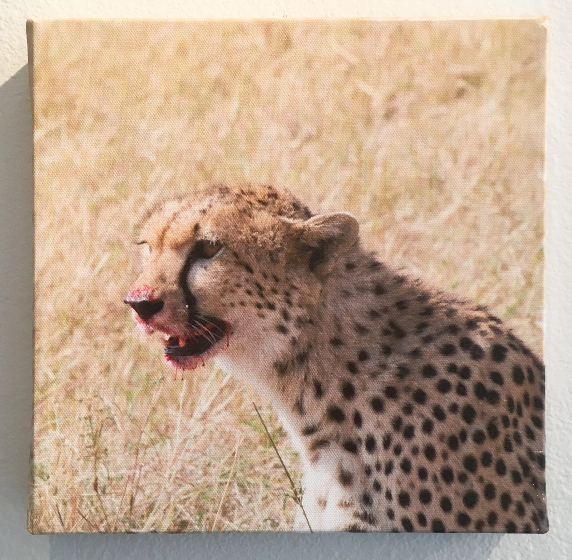 Photo Apr 11, 12 40 06 PM.jpg