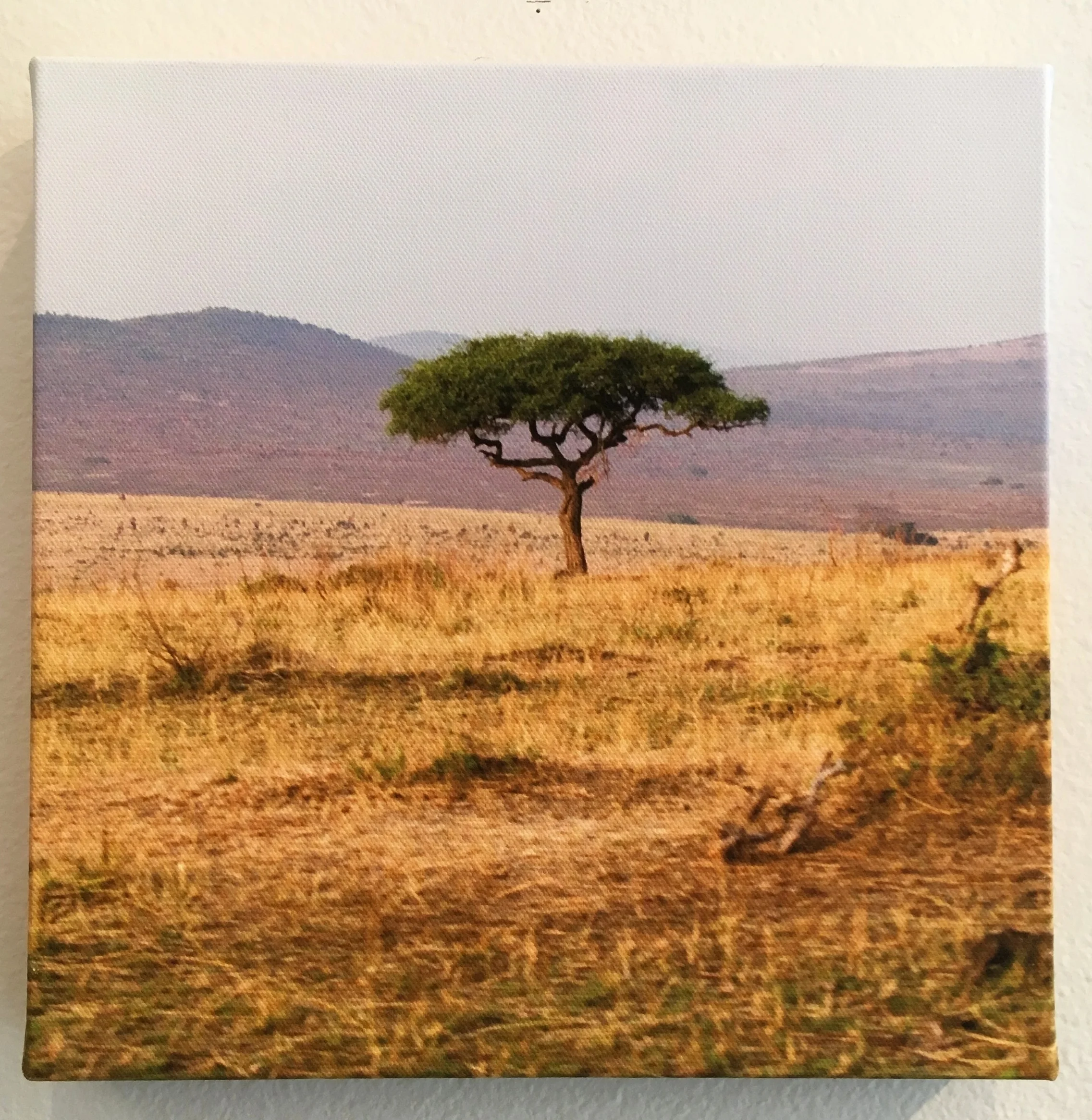 Photo Apr 11, 12 40 15 PM.jpg