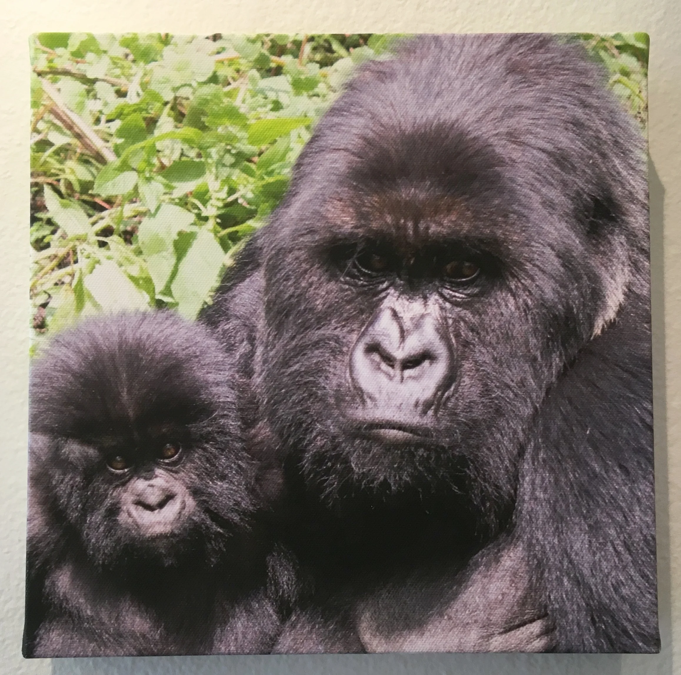 Photo Apr 11, 12 39 59 PM.jpg