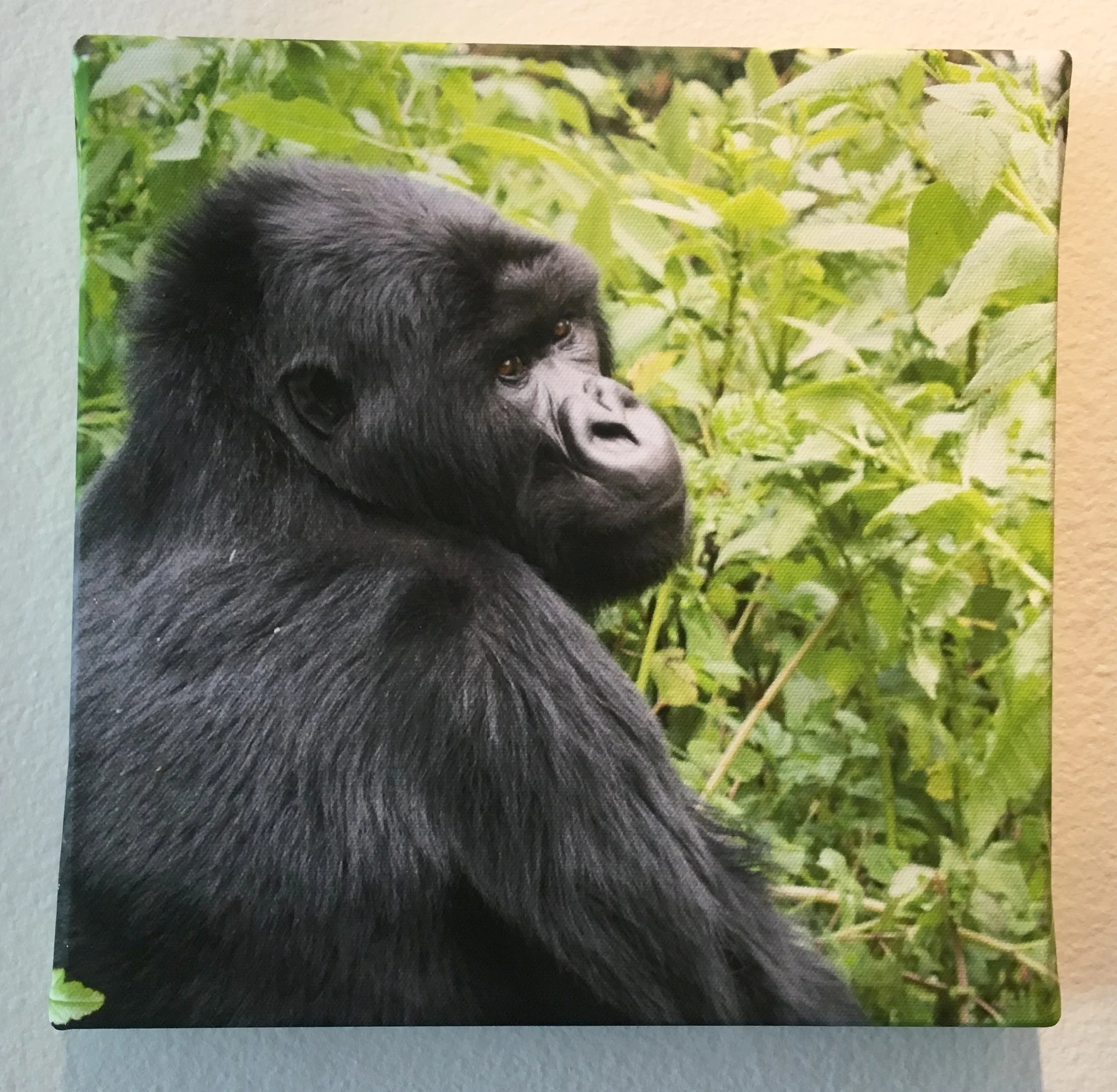 Photo Apr 11, 12 39 38 PM.jpg