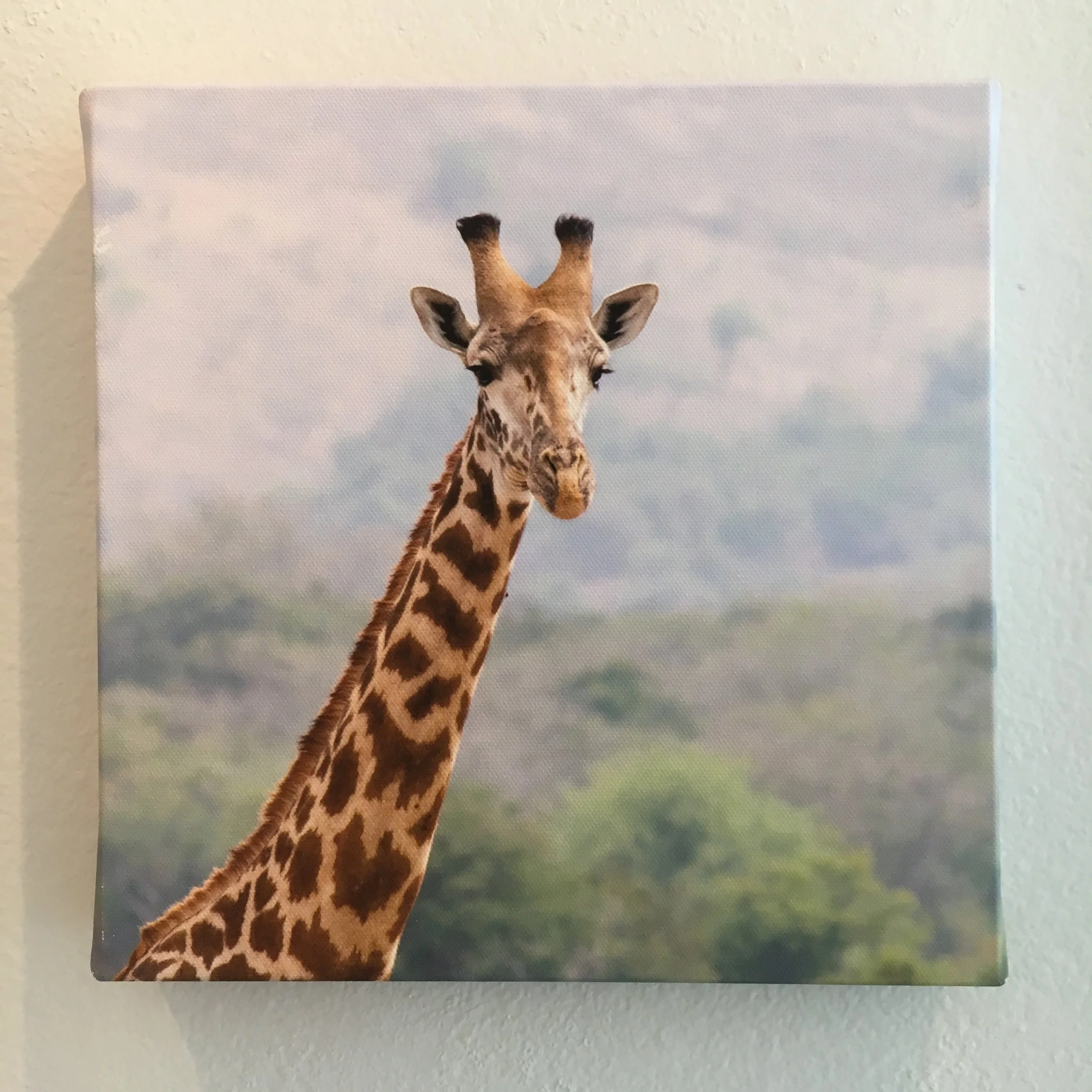 Photo Apr 11, 12 40 24 PM.jpg