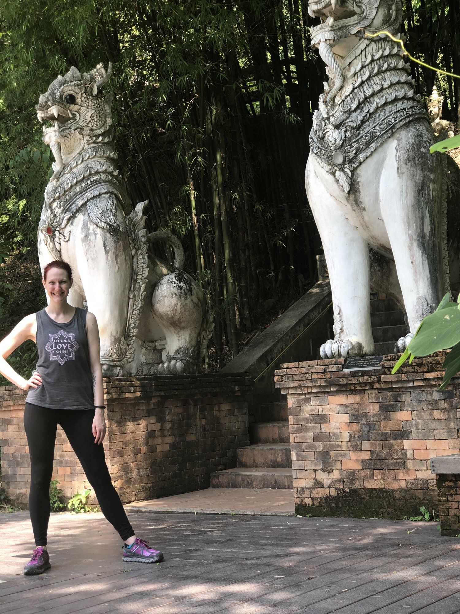 Robin-Chiang-Mai-compressor.jpg