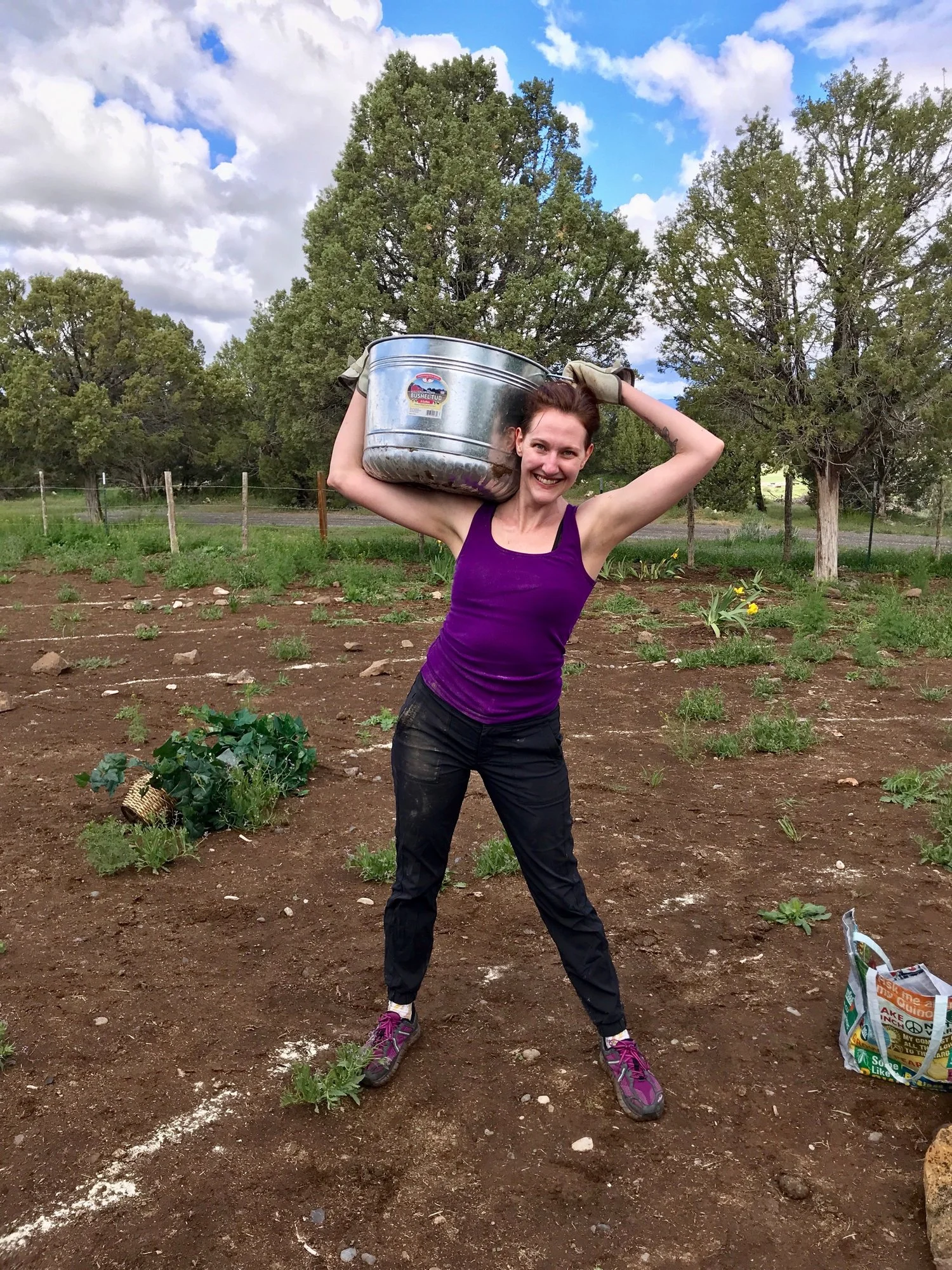 Signs of Rocks and Bees, A Wild Story about Asking & Receiving