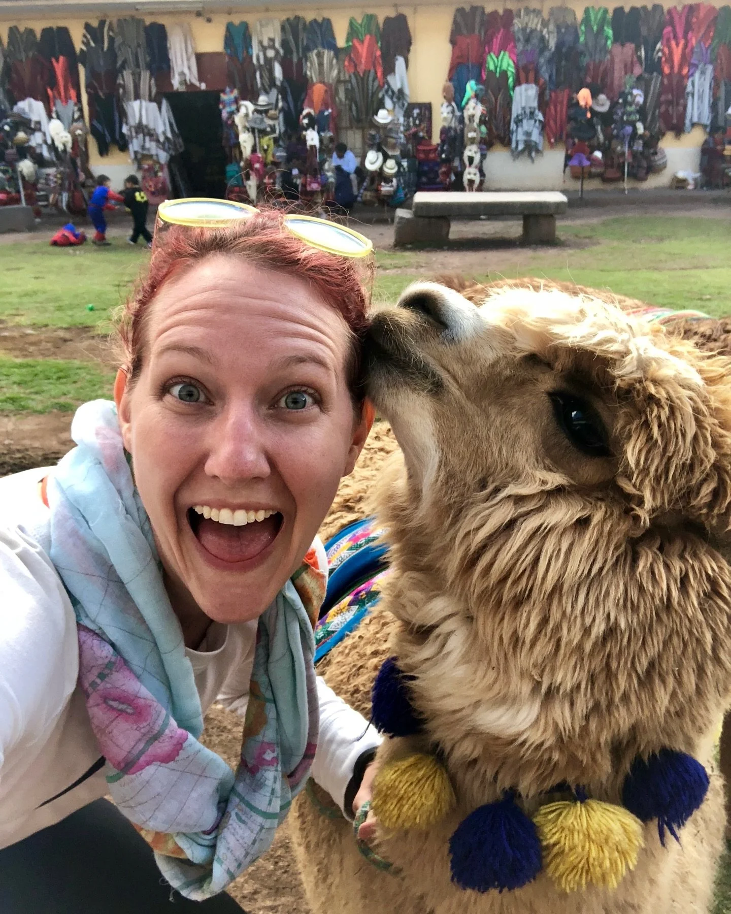 Today marks my Nomadiversary&mdash;7 years since I embarked on a one-way flight to Australia with my trusted travel companion, Hershel, and a heart full of curiosity.

What started as a quest for freedom and flexibility turned into a life of adventur