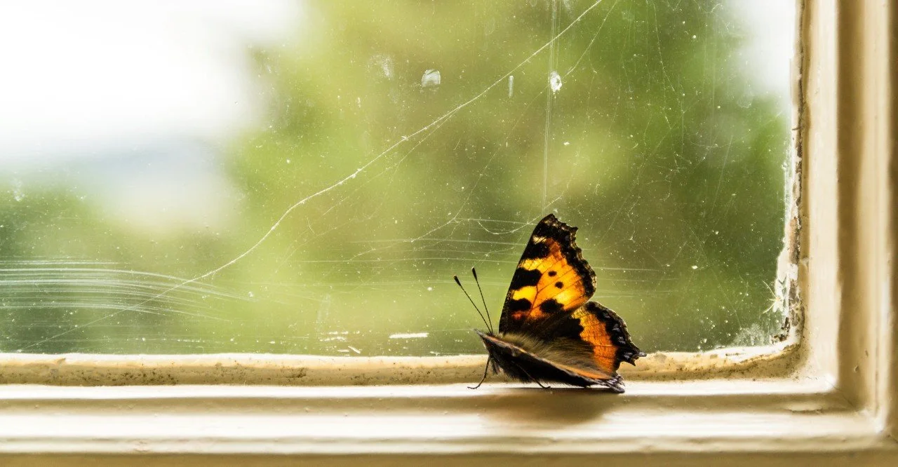 Are you lifting or limiting your results?