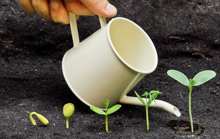 Grow employee engagement with trust and involvement