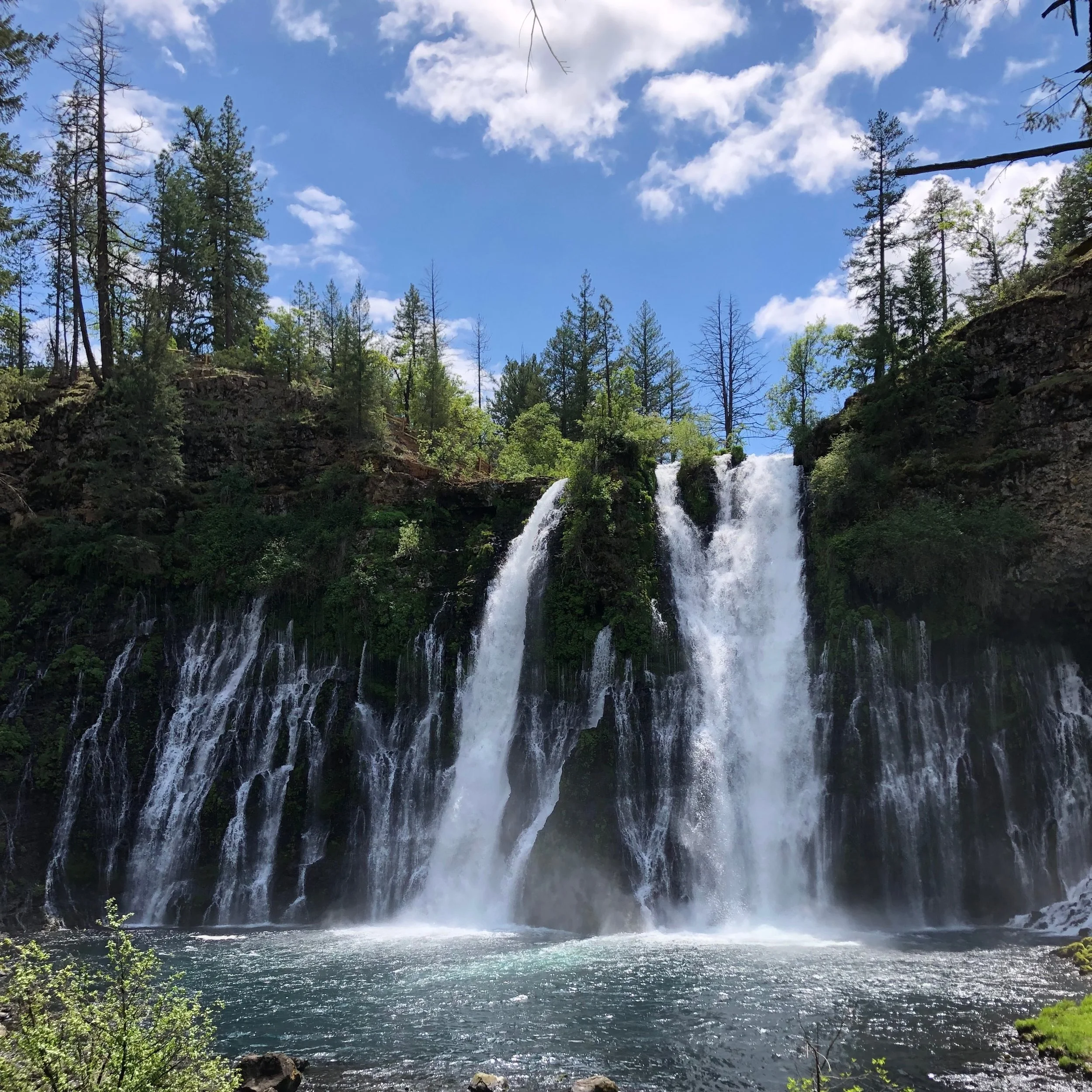 Shasta Cascade BT
