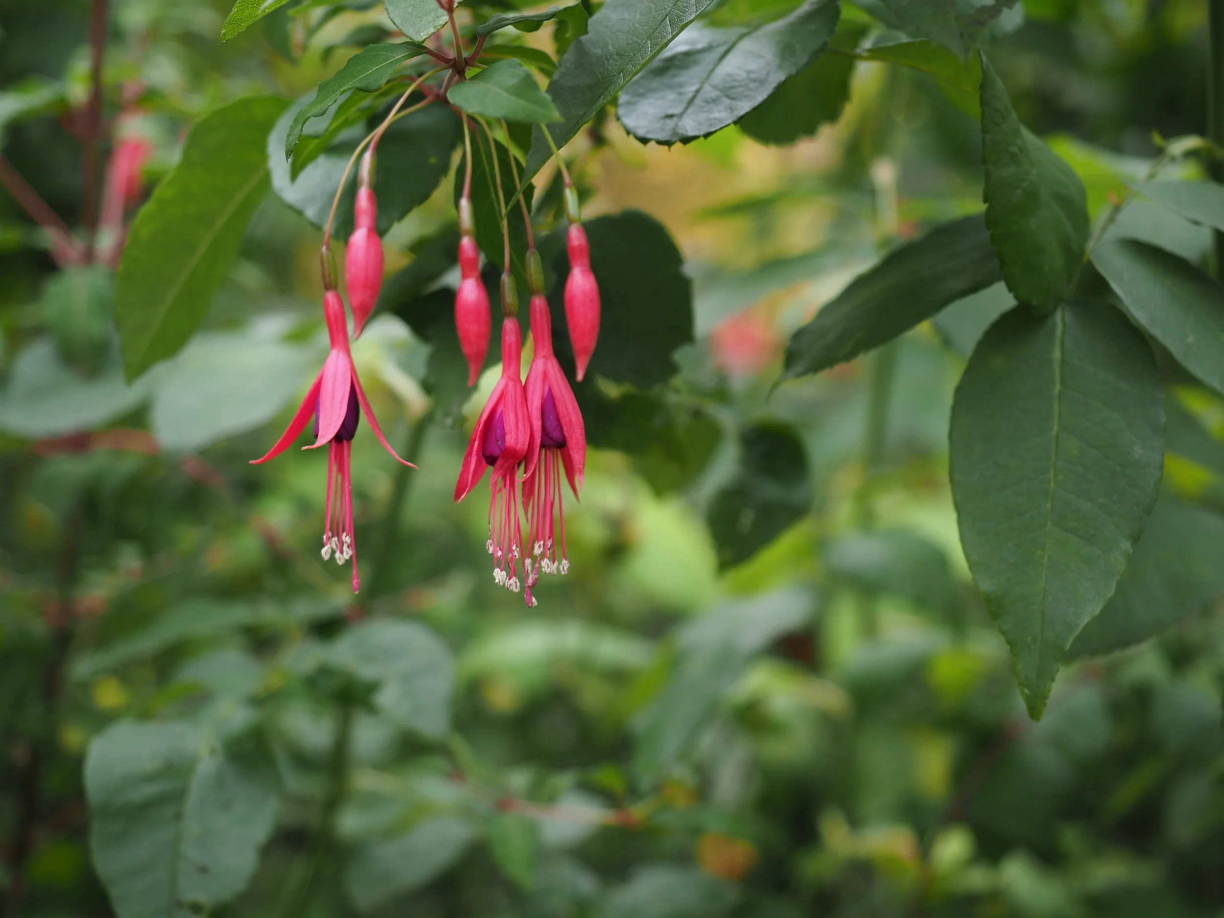Palace of Versailles, 2016
