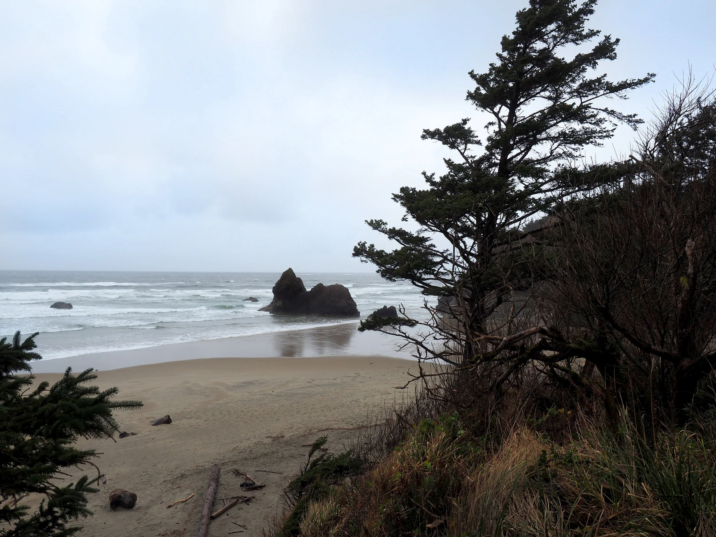 Oregon Coast, 2017