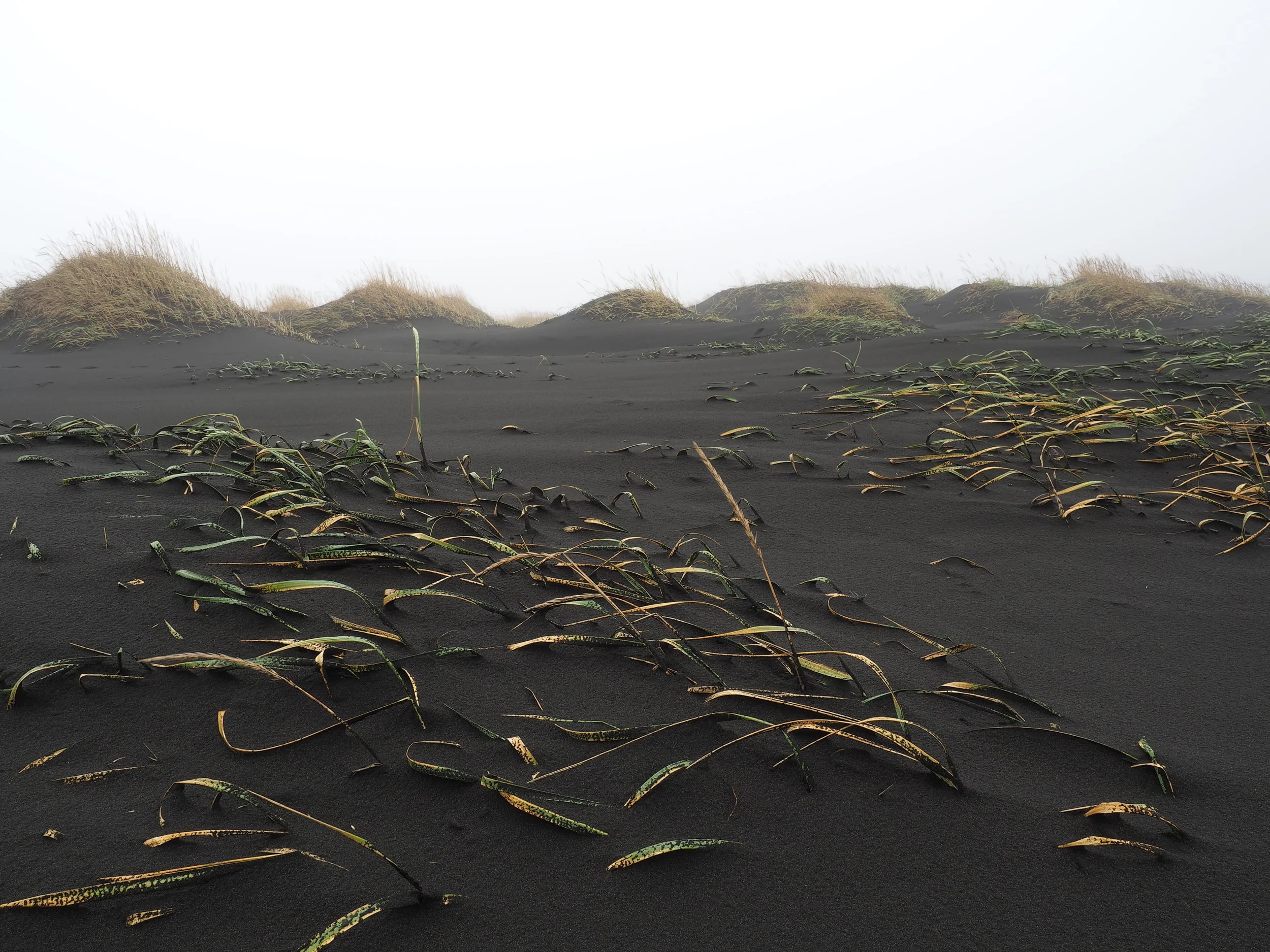Iceland, 2016