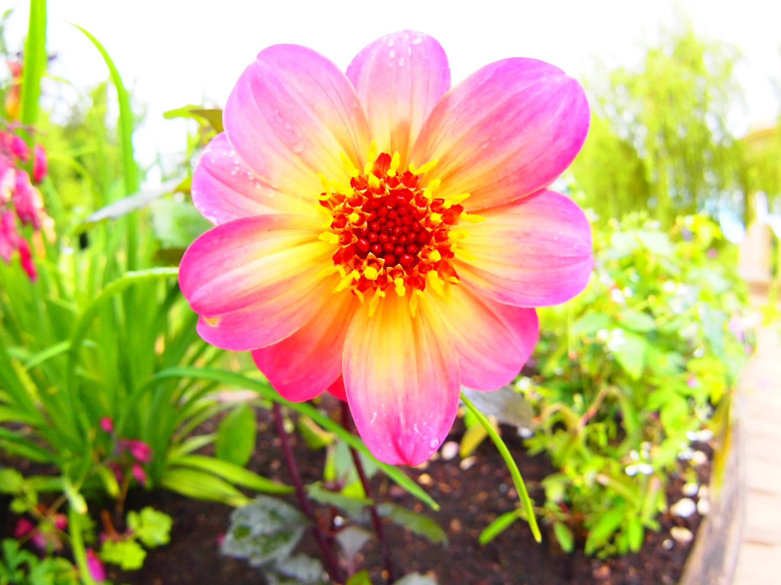 Palace of Versailles, 2011