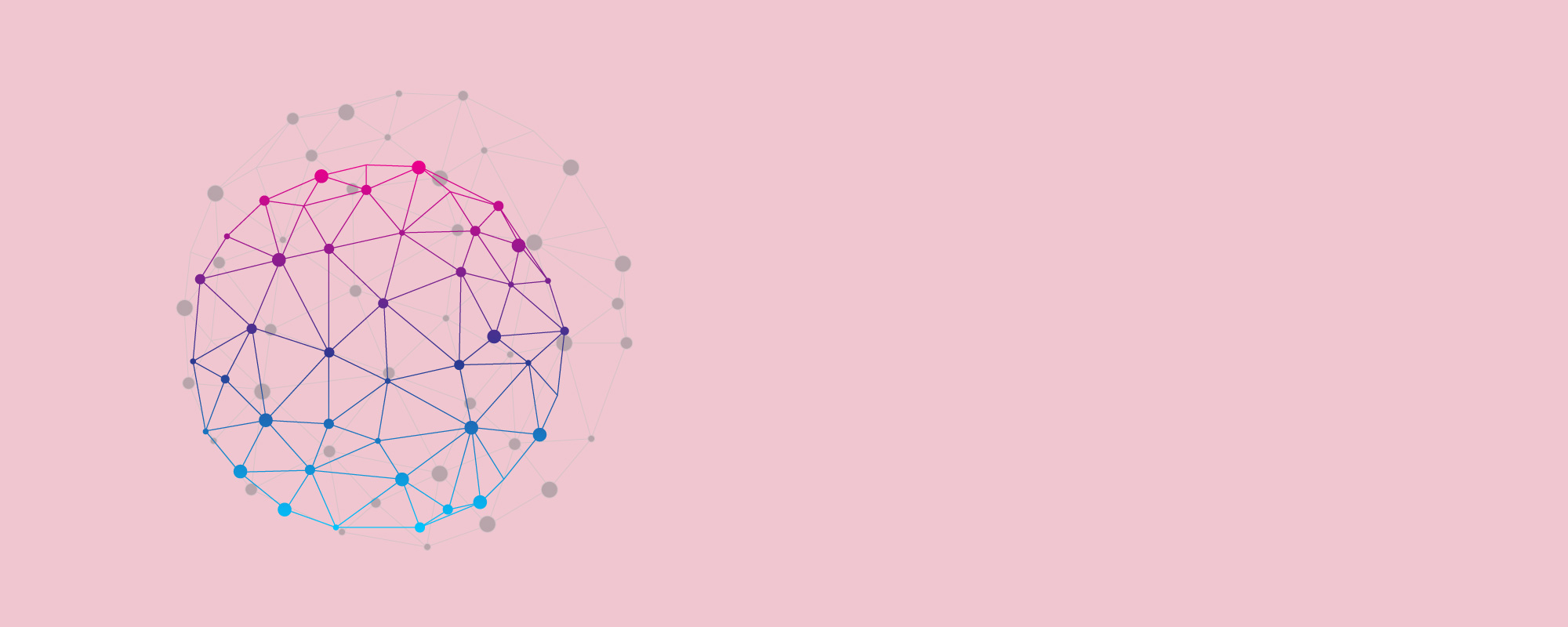 network-banner.jpg