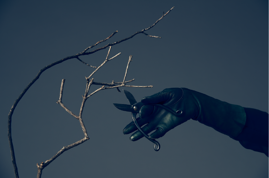 gloves.png