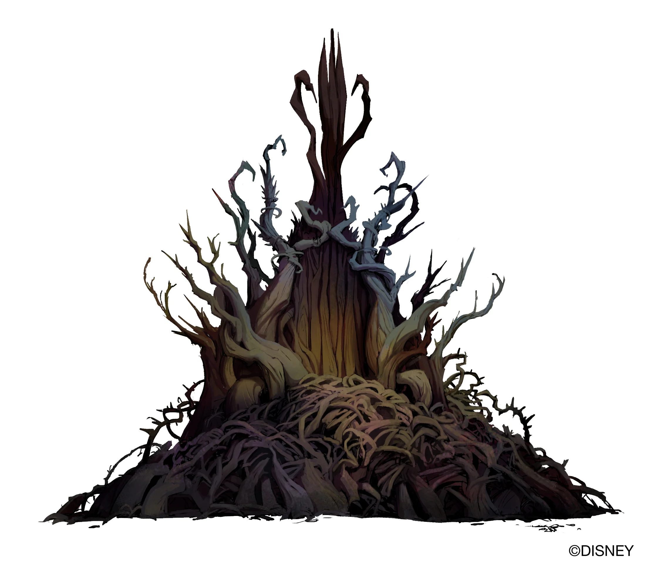 AG_Orizaba'sNest copy.jpg