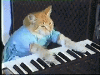 Animated GIF of a cat playing piano