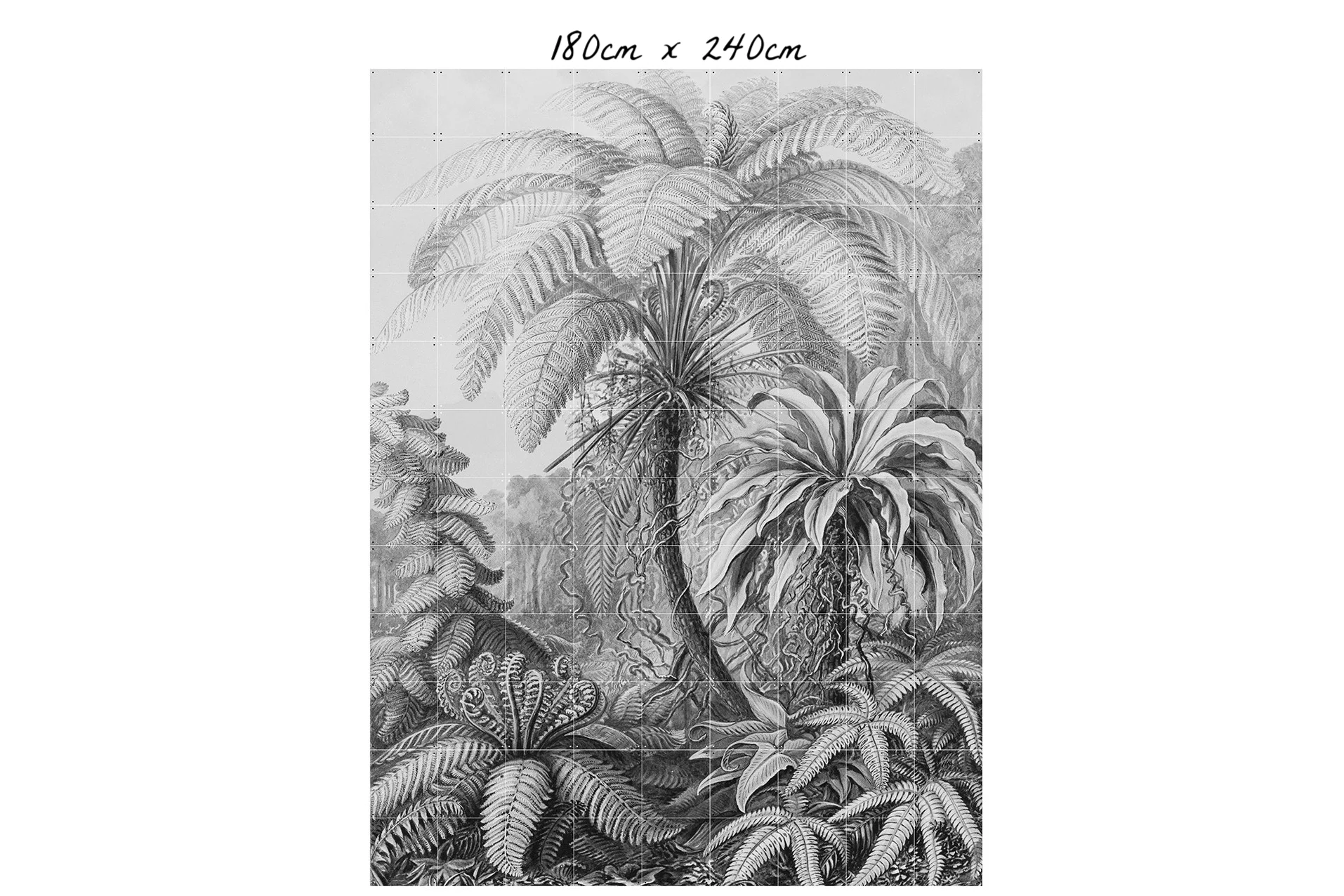IXXI-Ferns_180cm x 240cm.01.jpg