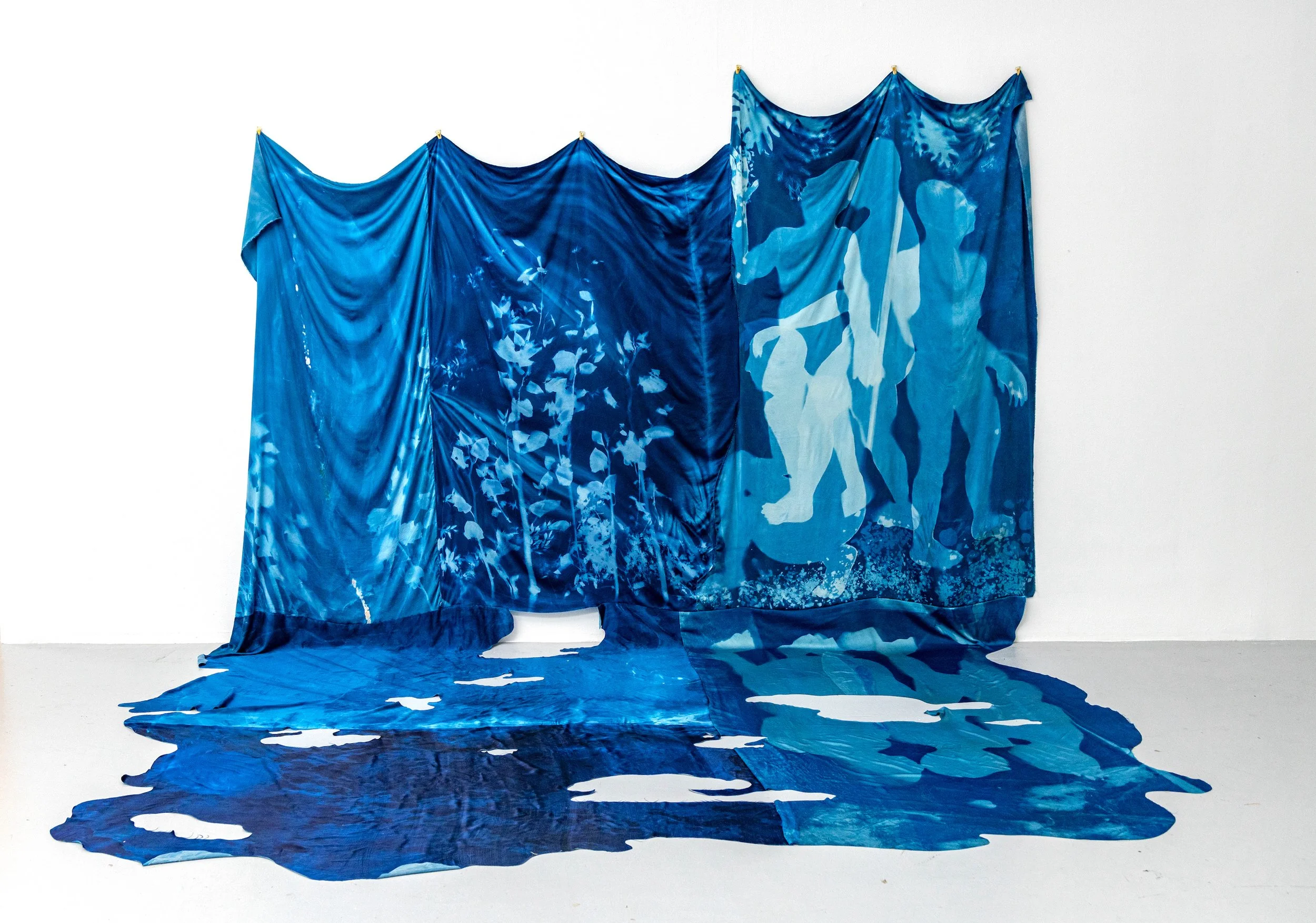 Edited Cyanotype Image copy.jpg