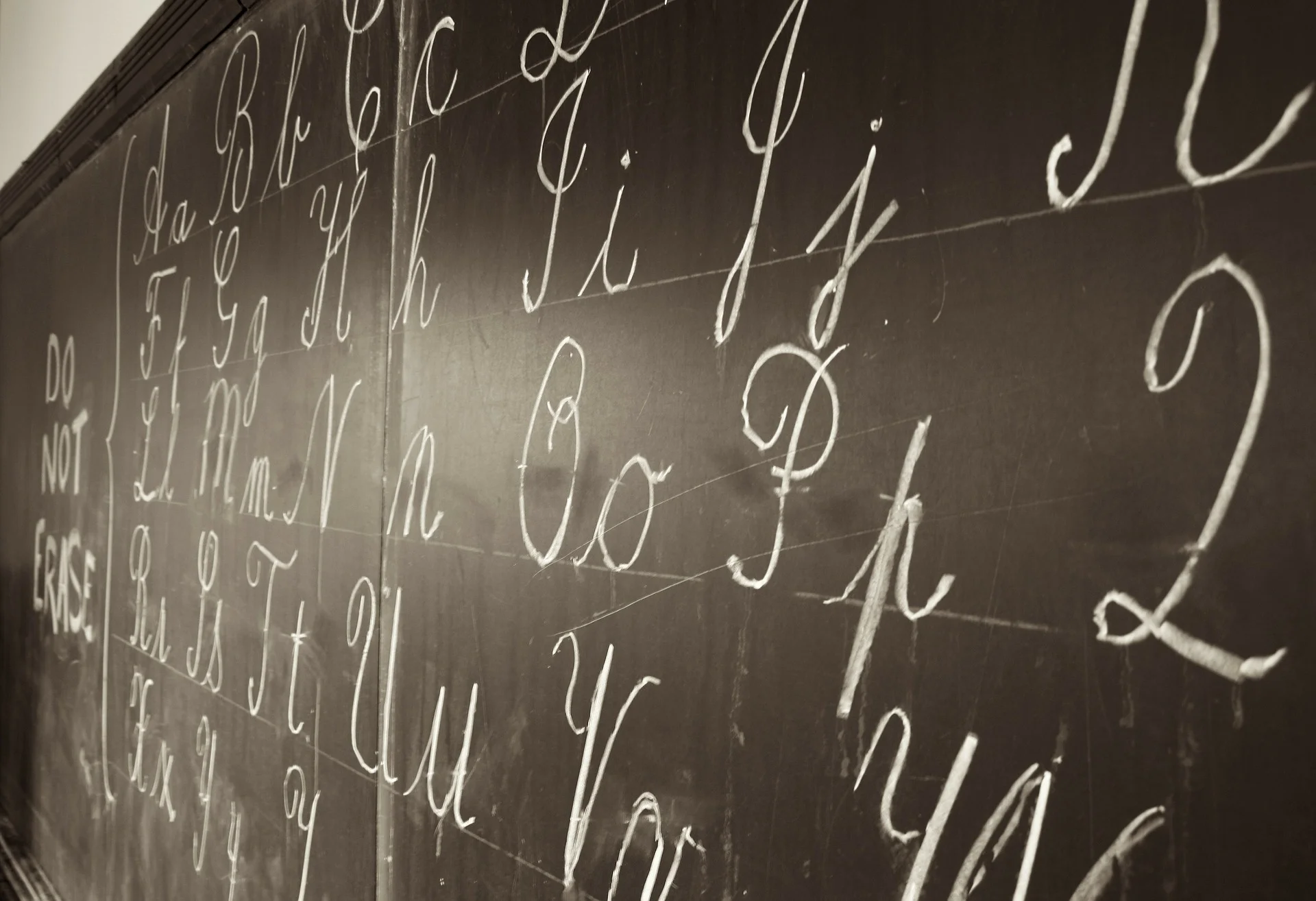 Startup Lessons That Will Transform Your Work with Alumni Entrepreneurs