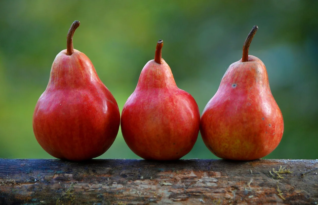No, not pears.