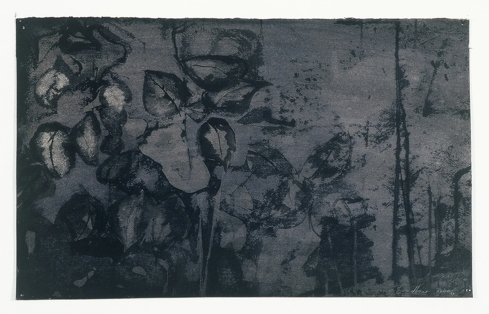 Garden II