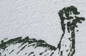 EMUS SURVEY