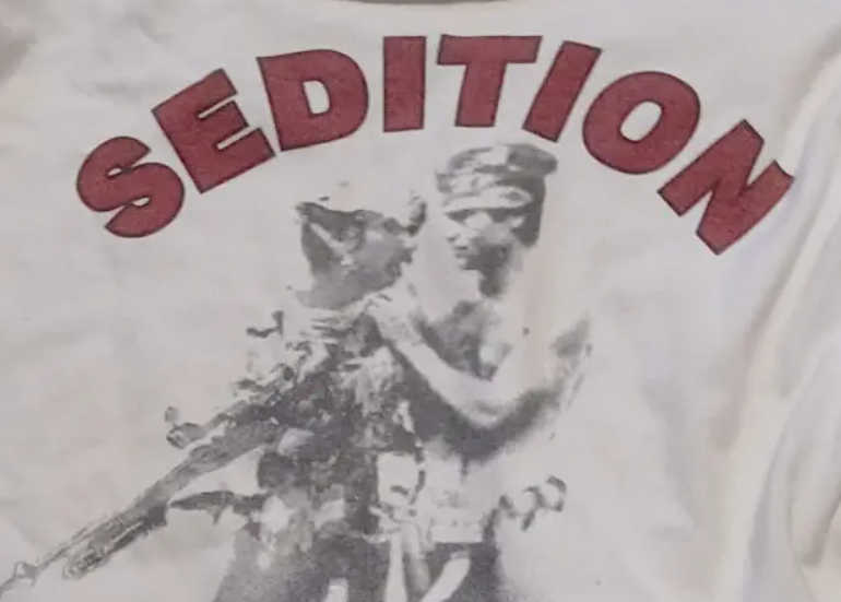 Sedition (redux) @ Numbers