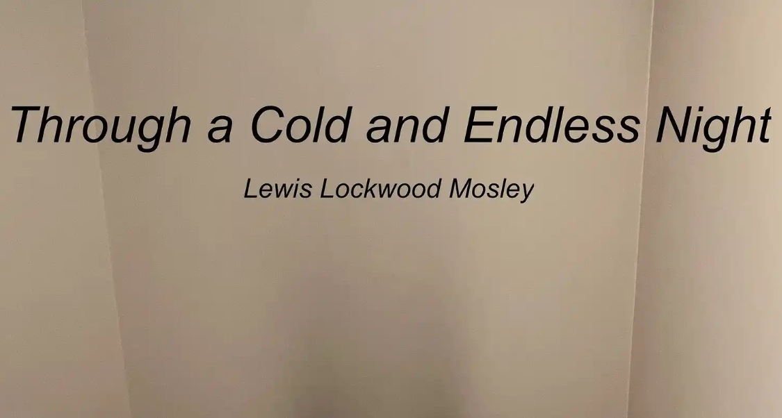 Through a Cold and Endless Night