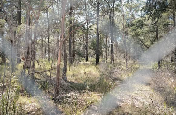 Seaworthy + Adrian Miles