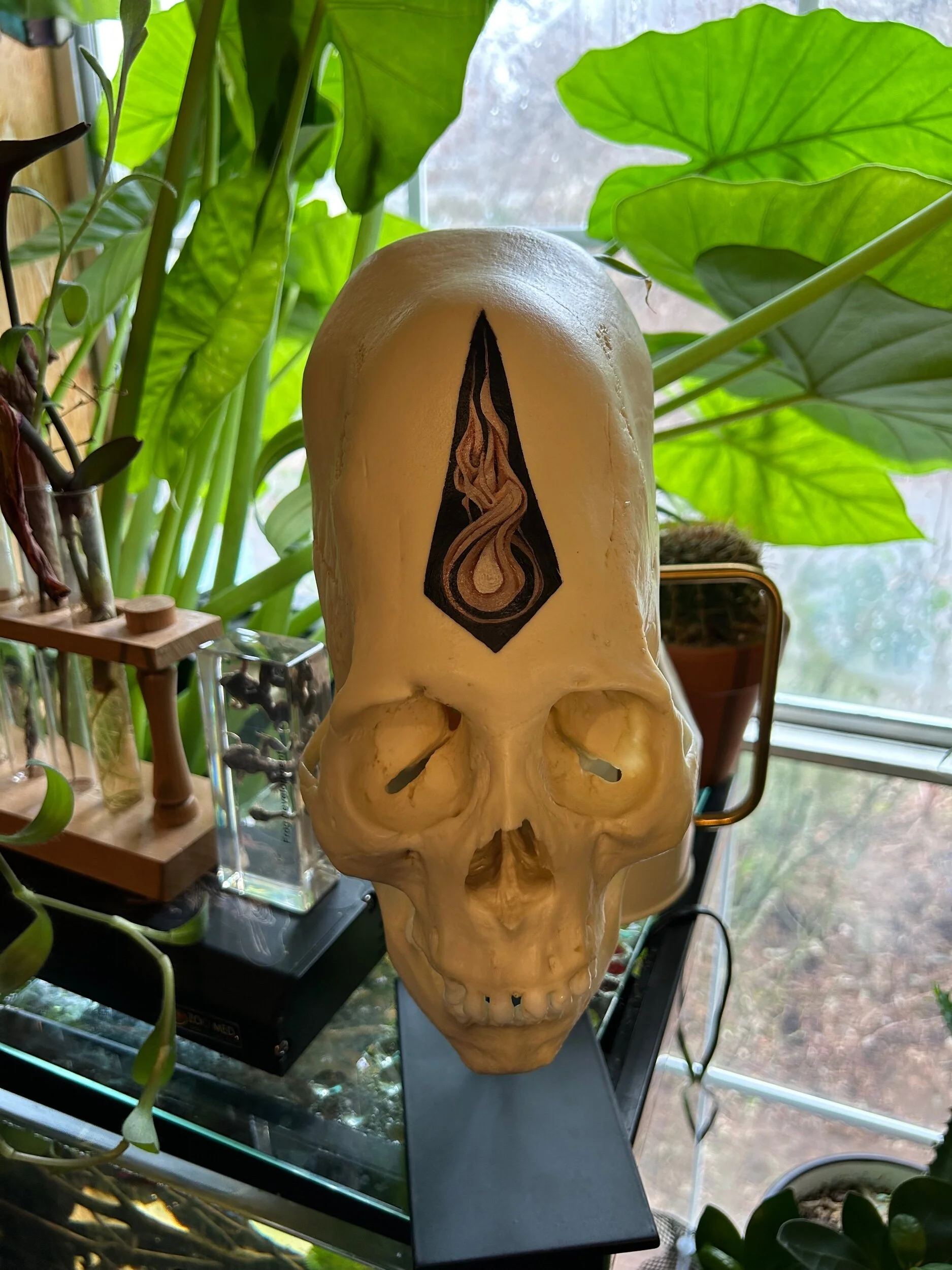 26D3FF5D-3CA2-47AB-9517-A59B07A5C305