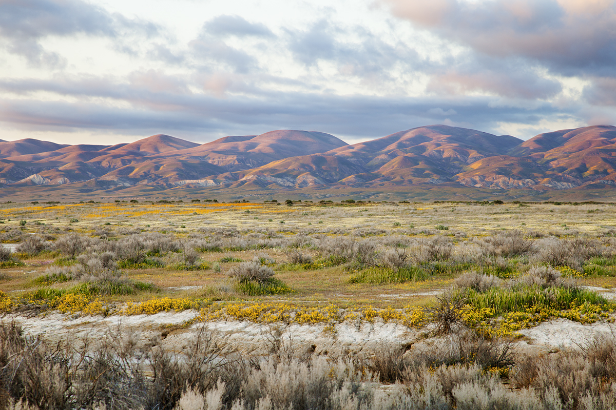 CarrizoTemblorRanges_Bouton_CC.jpg