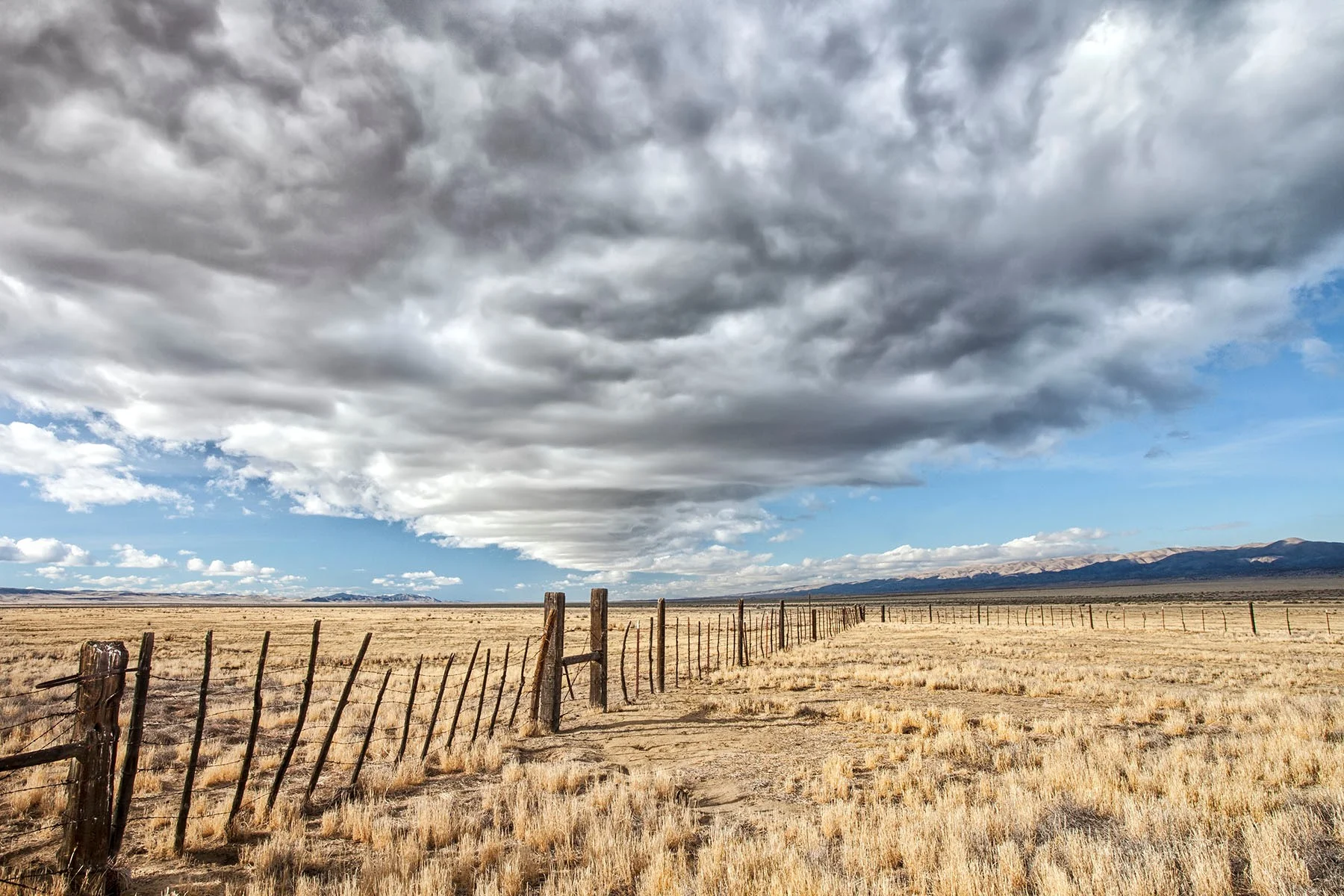 Carrizo Corral. © Bill Bouton
