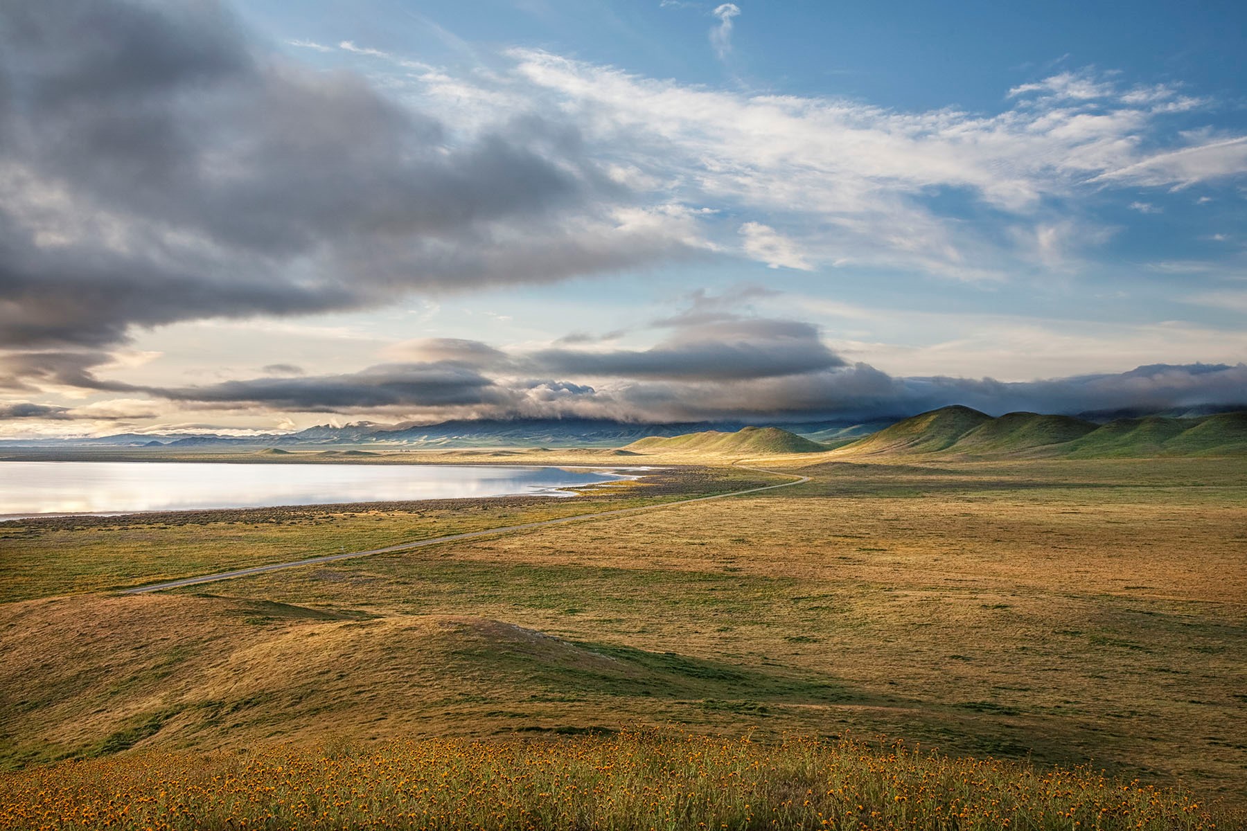 Soda Lake, Carrizo Plain National Monument. Copyright Bill Bouton. Used with permission, all rights reserved.