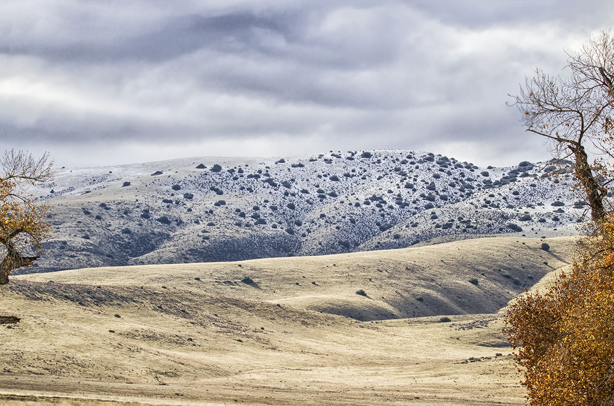 Snow on the Temblors. © Bill Bouton