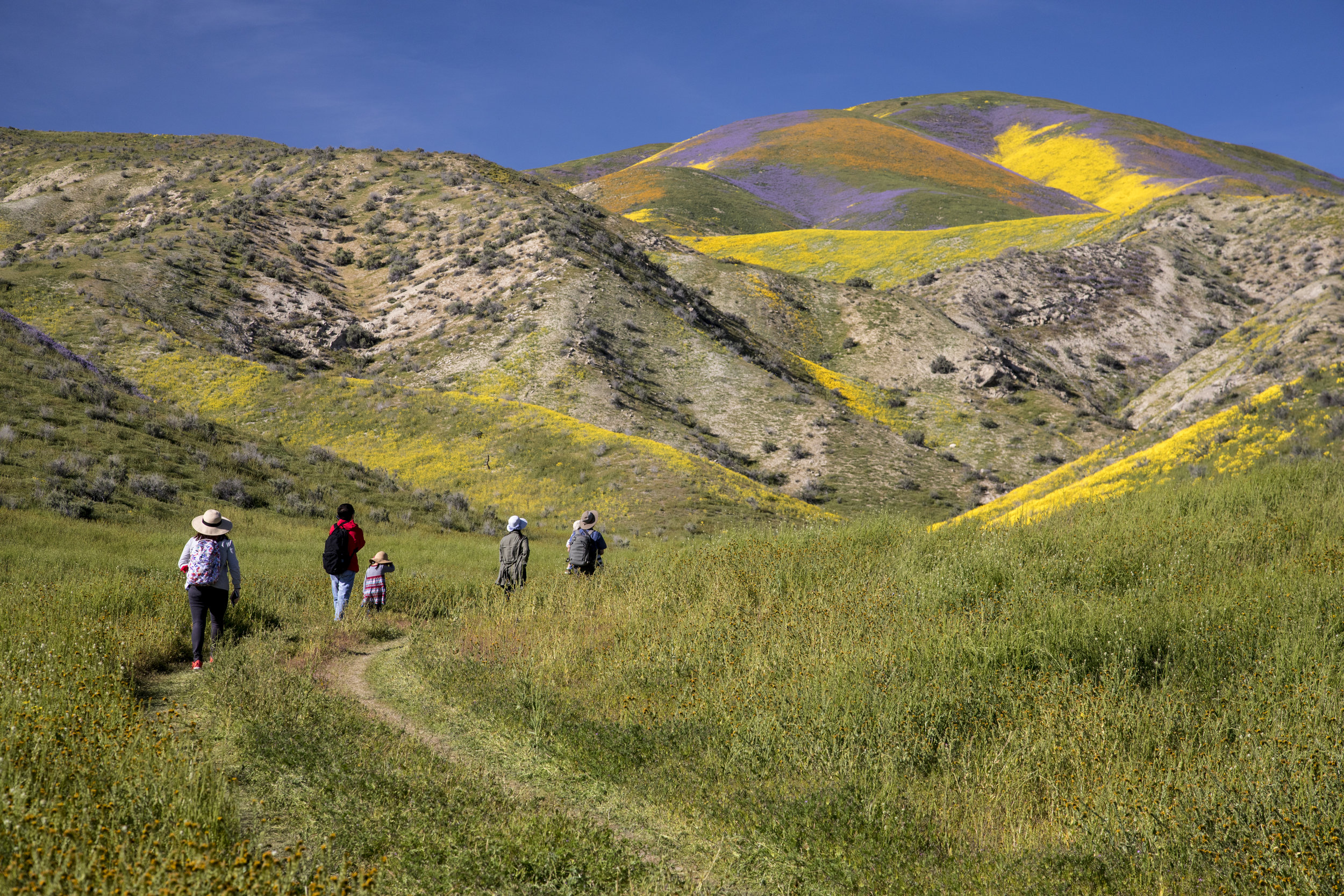 Family Adventure. © Bob Wick, BLM