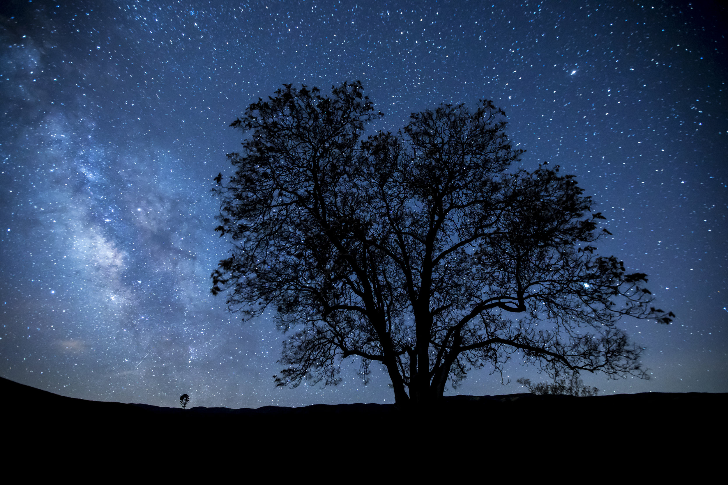 Milky Way Over Carrizo. © Bob Wick, BLM