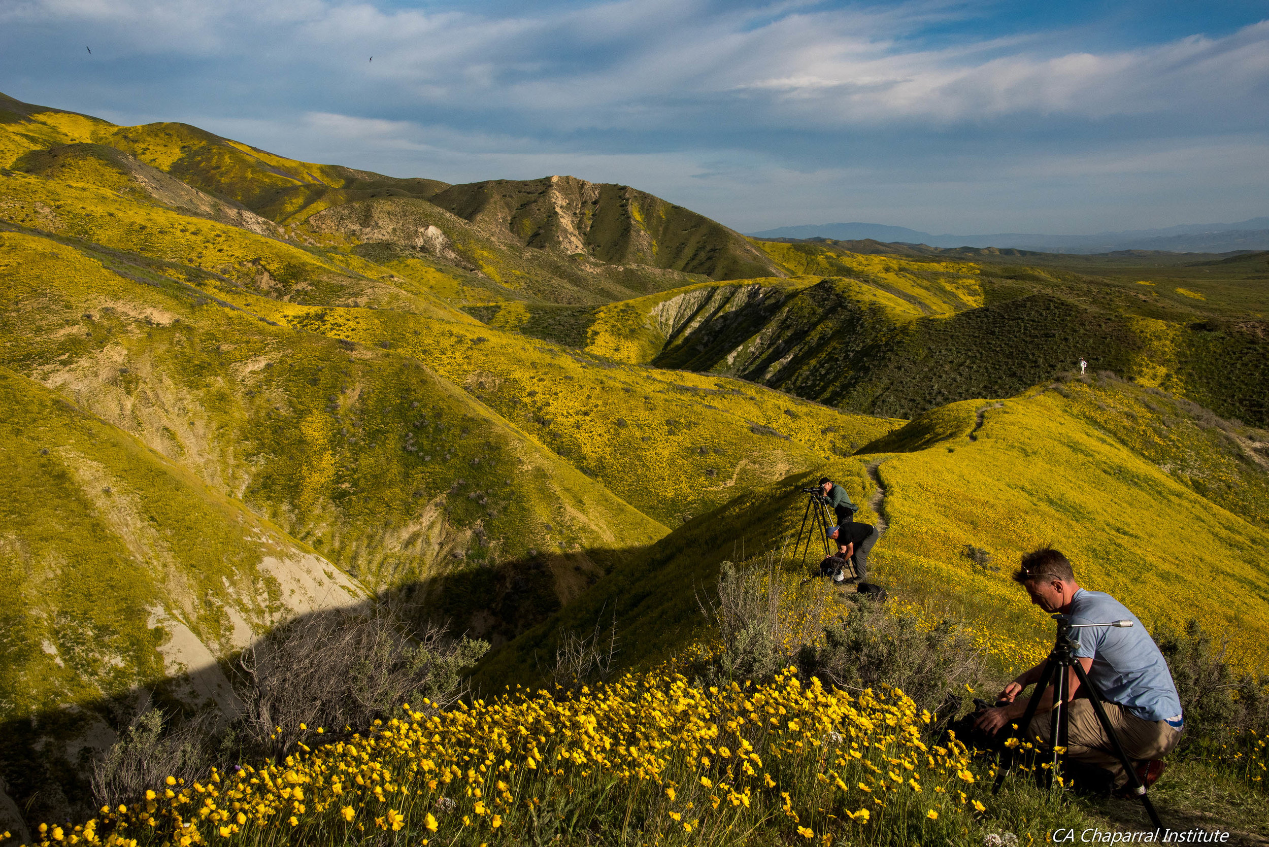 Photographer's Ridge. © Rick Halsey