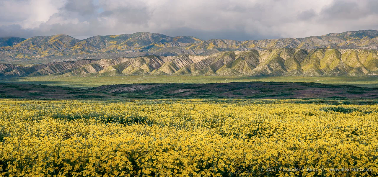 Elkhorn Hills & Temblor Range © Alexander S. Kunz